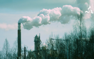 Hydrogen and Carbon Capture Aren’t Worth the Hype