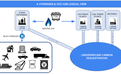 A Hydrogen and Carbon Capture Hub: A Logical View